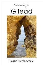 Book cover of Swimming in Gilead by Cassie Premo Steele