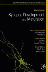Book cover of Synapse Development and Maturation by Pasko Rakic