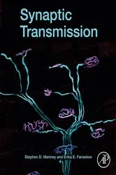 Book cover of Synaptic Transmission by Stephen D. Meriney PhD