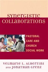 Book cover of Synergistic Collaborations by Velmarie L. Albertini