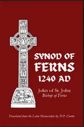 Book cover of Synod of Ferns by John of St. John