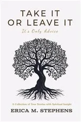 Book cover of TAKE IT OR LEAVE IT by Erica M Stephens