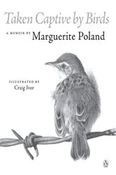 Book cover of Taken Captive by Birds by Unknown