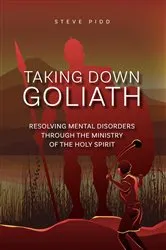 Book cover of Taking Down Goliath by Steven Pidd