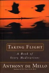 Book cover of Taking Flight by Kashmira Sheth