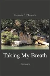 Book cover of Taking My Breath by Cassandra O'Loughlin