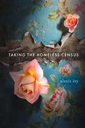 Book cover of Taking the Homeless Census by Alexis Ivy