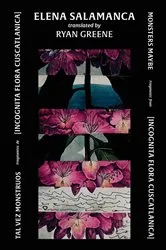 Book cover of Tal Vez Monstruos / Monsters Maybe by Elena Salamanca