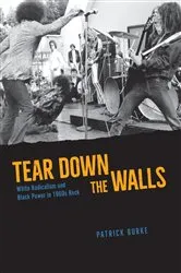 Book cover of Tear Down the Walls by Patrick Burke