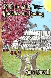Book cover of Teeth In Sink, Knickers on Landing by Zara Duvall
