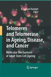 Book cover of Telomeres and Telomerase in Aging, Disease, and Cancer by K. Lenhard Rudolph