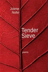 Book cover of Tender Sieve by Jolene Nolte