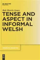 Book cover of Tense and Aspect in Informal Welsh by Bob Morris Jones