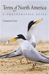 Book cover of Terns of North America by Cameron Cox