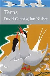 Book cover of Terns by Unknown