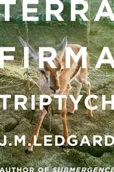 Book cover of Terra Firma Triptych by J. M. Ledgard