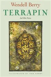 Book cover of Terrapin by Wendell Berry