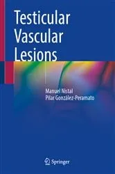 Book cover of Testicular Vascular Lesions by Manuel Nistal