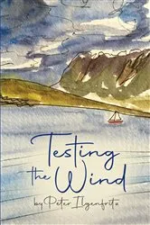 Book cover of Testing the Wind by Peter Ilgenfritz