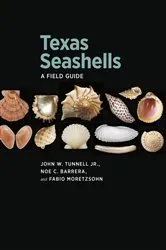 Book cover of Texas Seashells by John W. Tunnell