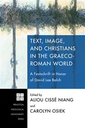 Book cover of Text, Image, and Christians in the Graeco-Roman World by Aliou Cissé Niang