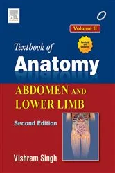Book cover of Textbook of Anatomy Abdomen and Lower Limb; Volume II (2nd ed.) by Vishram Singh