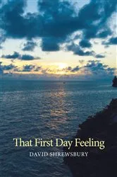 Book cover of That First Day Feeling by David Shrewsbury