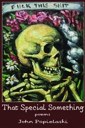 Book cover of That Special Something by John Popielaski