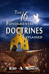 Book cover of The 16 Fundamental Doctrines Explained by Unknown