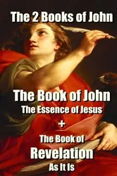 Book cover of The 2 Books of John by Gerard Meerstadt