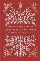 Book cover of The 25 Days of Christmas by James Merritt