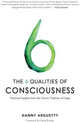 Book cover of The 6 Qualities of Consciousness by Danny Arguetty