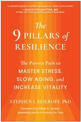 Book cover of The 9 Pillars of Resilience by Stephen I. Sideroff