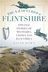 Book cover of The A-Z of Curious Flintshire by David Rowe