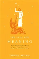 Book cover of The Ache for Meaning by Tommy Brown