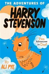 Book cover of The Adventures of Harry Stevenson by Ali Pye