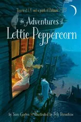Book cover of The Adventures of Lettie Peppercorn by Sam Gayton