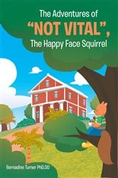 Book cover of The Adventures of 