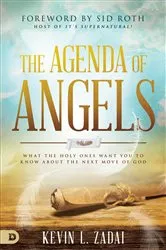 Book cover of The Agenda of Angels by Kevin Zadai