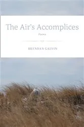 Book cover of The Air's Accomplices by Brendan Galvin
