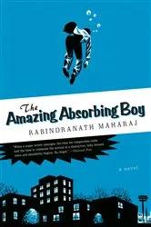 Book cover of The Amazing Absorbing Boy by Rabindranath Maharaj