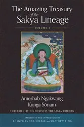 Book cover of The Amazing Treasury of the Sakya Lineage by Ameshab Ngakwang Kunga Sonam
