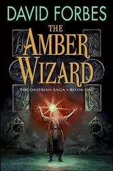 Book cover of The Amber Wizard by David Forbes