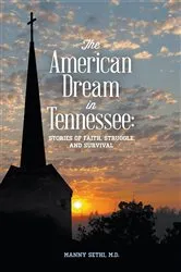 Book cover of The American Dream in Tennessee by Dr. Manny Sethi