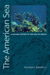 Book cover of The American Sea by Rezneat Milton Darnell