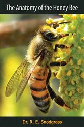 Book cover of The Anatomy of the Honey Bee by Dr. R. E. Snodgrass