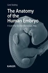 Book cover of The Anatomy of the Human Embryo by G. Steding