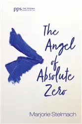 Book cover of The Angel of Absolute Zero by Marjorie Stelmach