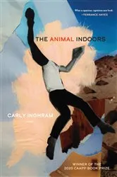 Book cover of The Animal Indoors by Carly Inghram