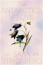 Book cover of The Antarctica of Love by Sara Stridsberg